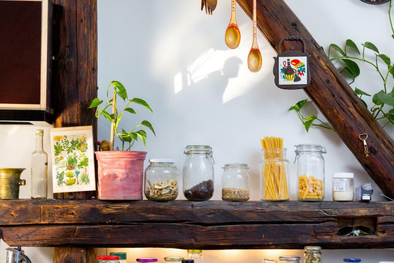 Albergue Nest *